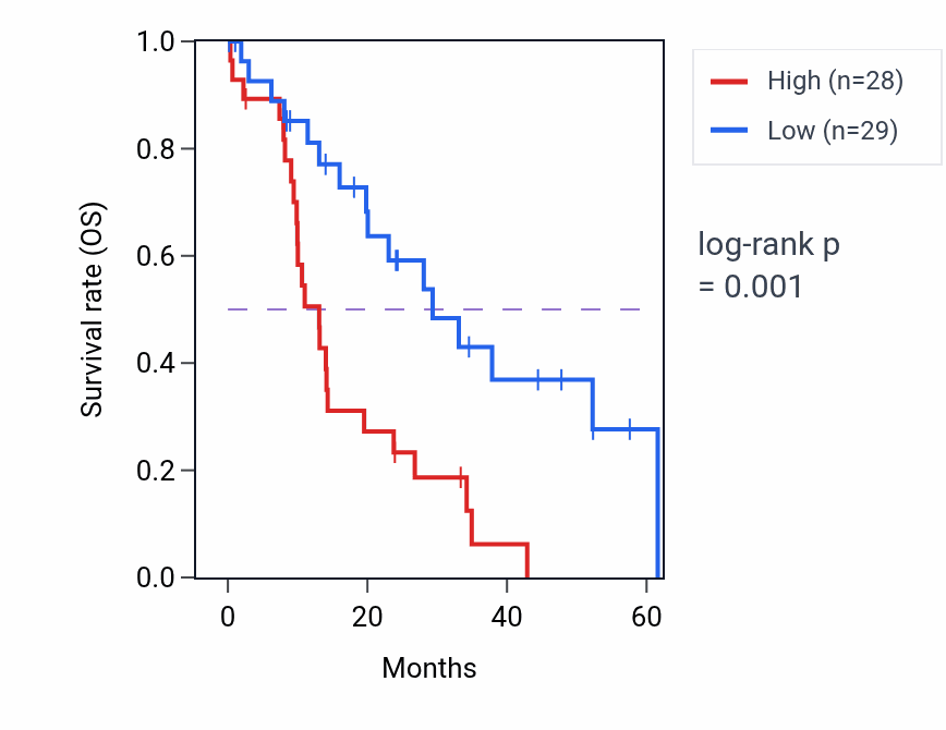 Kaplan&ndash;Meier survival curve for BOK mass-spec protein-high vs -low samples in PDAC.