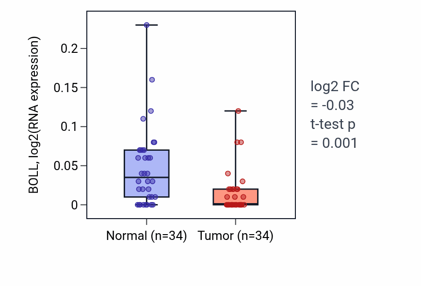 Tumor-vs-normal expression box plot for BOLL in KIRC.