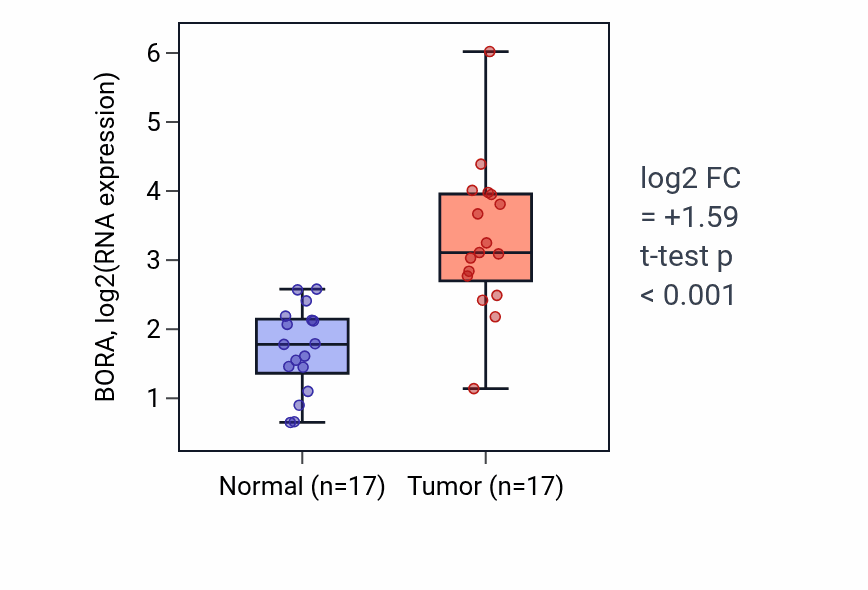 Tumor-vs-normal expression box plot for BORA in HNSC.
