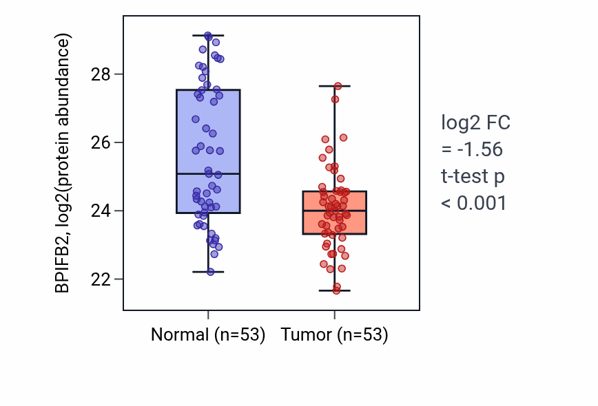 Tumor-vs-normal mass-spec protein box plot for BPIFB2 in HNSC.