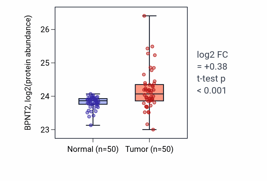Tumor-vs-normal mass-spec protein box plot for BPNT2 in CCRCC.