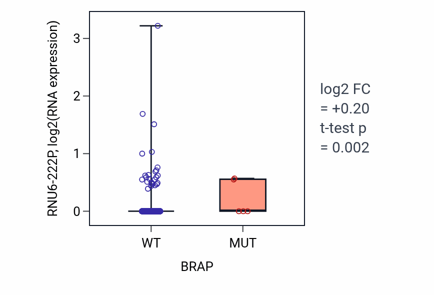 Box plot of RNU6-222P in BRAP-low vs BRAP-high samples in BRCA.