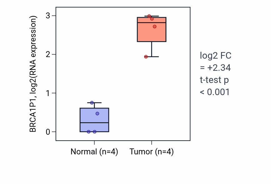 Tumor-vs-normal expression box plot for BRCA1P1 in KIRP.