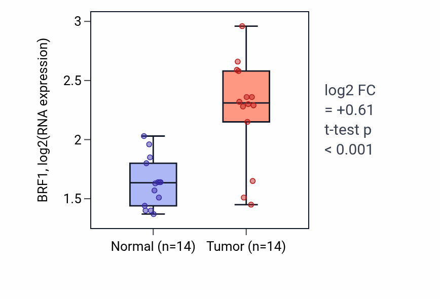 Tumor-vs-normal expression box plot for BRF1 in HNSC.