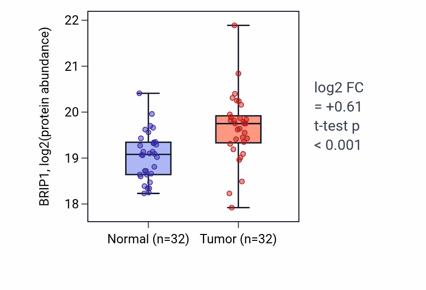 Tumor-vs-normal mass-spec protein box plot for BRIP1 in LSCC.
