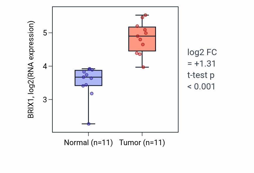 Tumor-vs-normal expression box plot for BRIX1 in HNSC.