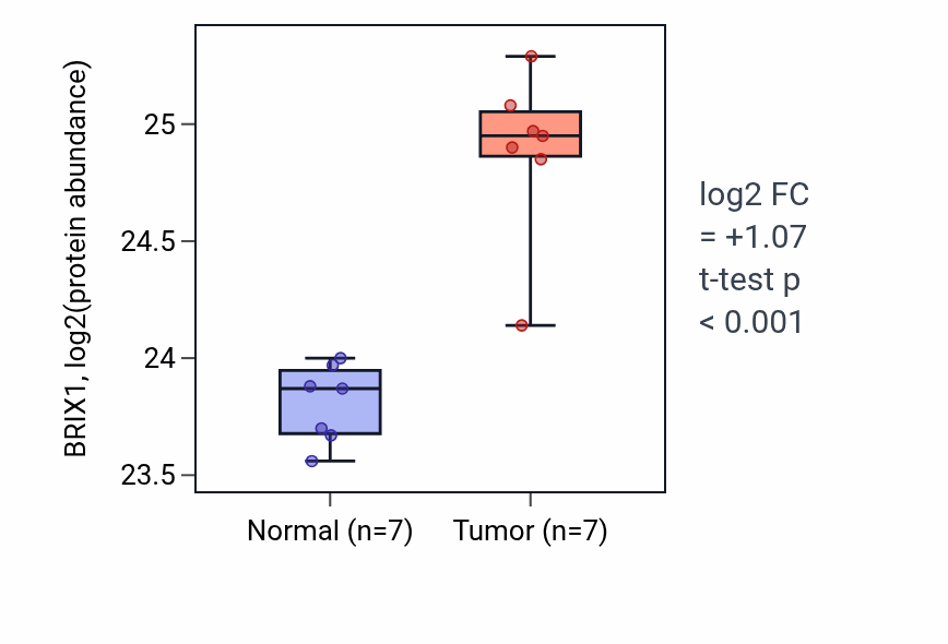 Tumor-vs-normal mass-spec protein box plot for BRIX1 in CCRCC.