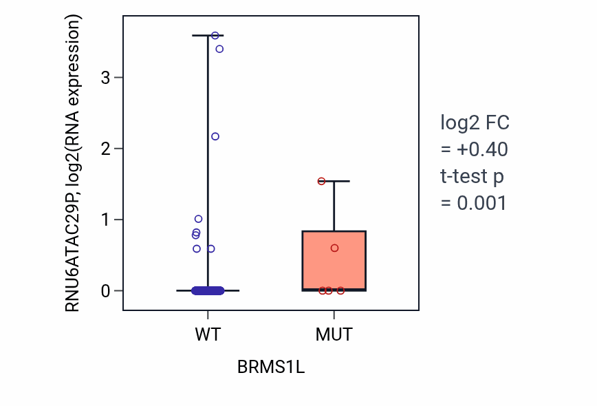Box plot of RNU6ATAC29P in BRMS1L-low vs BRMS1L-high samples in COAD.