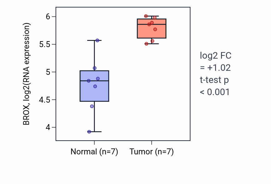 Tumor-vs-normal expression box plot for BROX in BLCA.