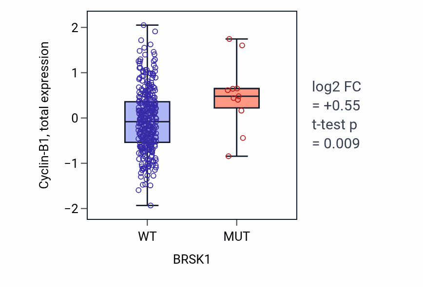Box plot of Cyclin-B1 in BRSK1-low vs BRSK1-high samples in SKCM.