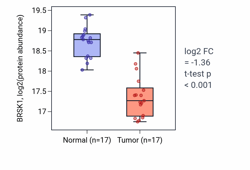 Tumor-vs-normal mass-spec protein box plot for BRSK1 in LUAD.