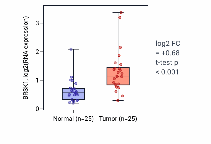 Tumor-vs-normal expression box plot for BRSK1 RNA in HNSC.
