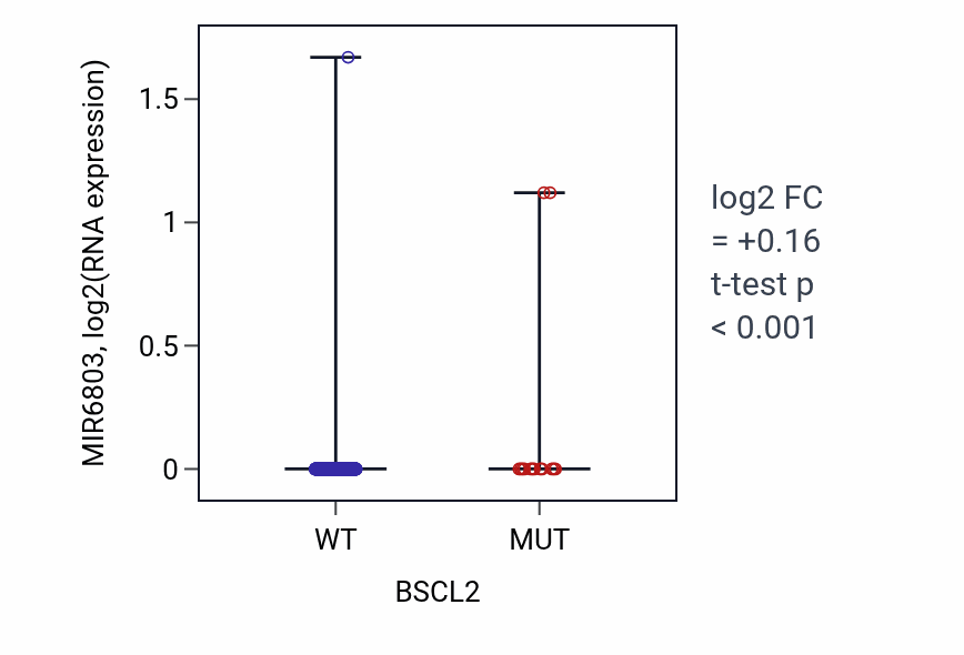 Box plot of MIR6803 in BSCL2-low vs BSCL2-high samples in UCEC.