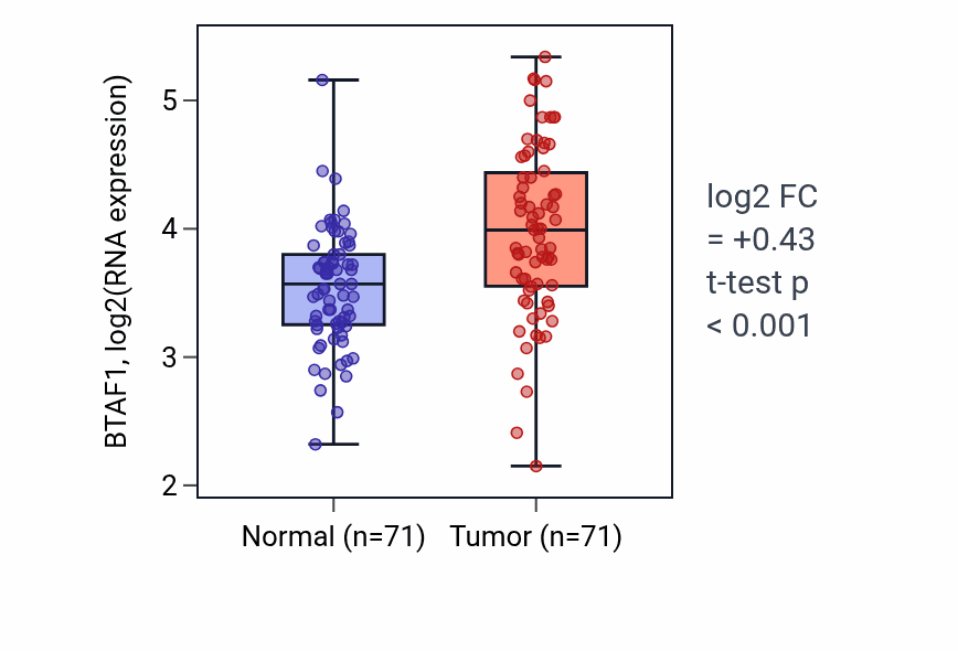 Tumor-vs-normal expression box plot for BTAF1 RNA in KIRC.