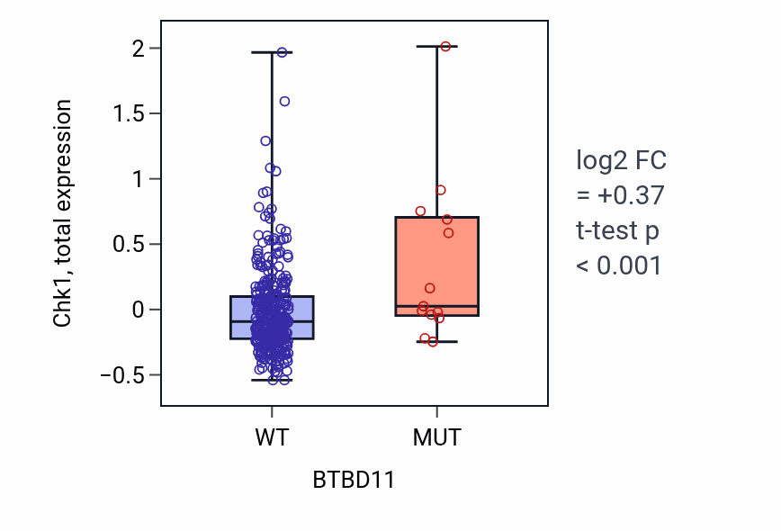 Box plot of Chk1 in BTBD11-low vs BTBD11-high samples in COAD.
