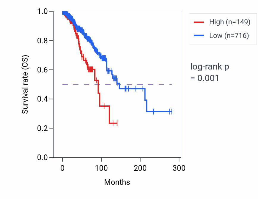 Kaplan&ndash;Meier survival curve for BTF3P14 RNA expression in BRCA: high vs low expression groups.