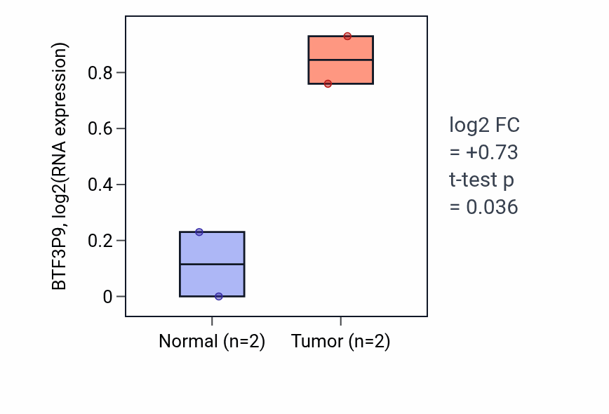 Tumor-vs-normal expression box plot for BTF3P9 in READ.