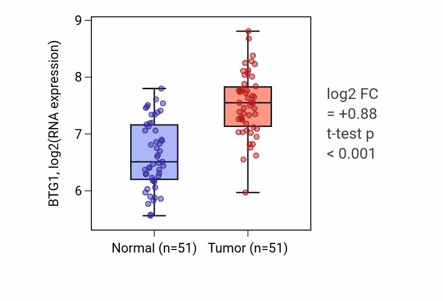Tumor-vs-normal expression box plot for BTG1 RNA in KIRC.