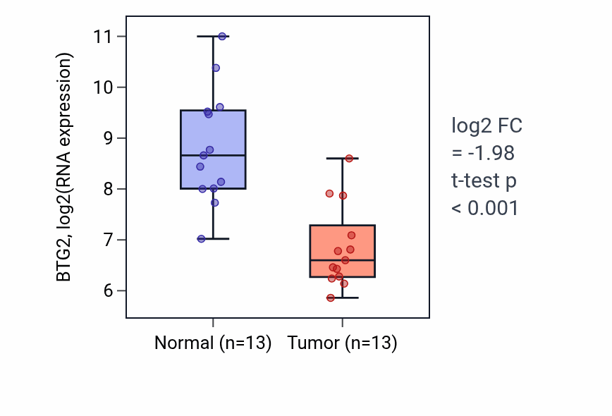 Tumor-vs-normal expression box plot for BTG2 RNA in KIRC.