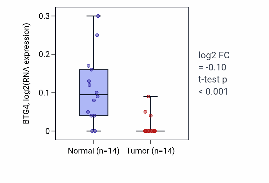 Tumor-vs-normal expression box plot for BTG4 in THCA.