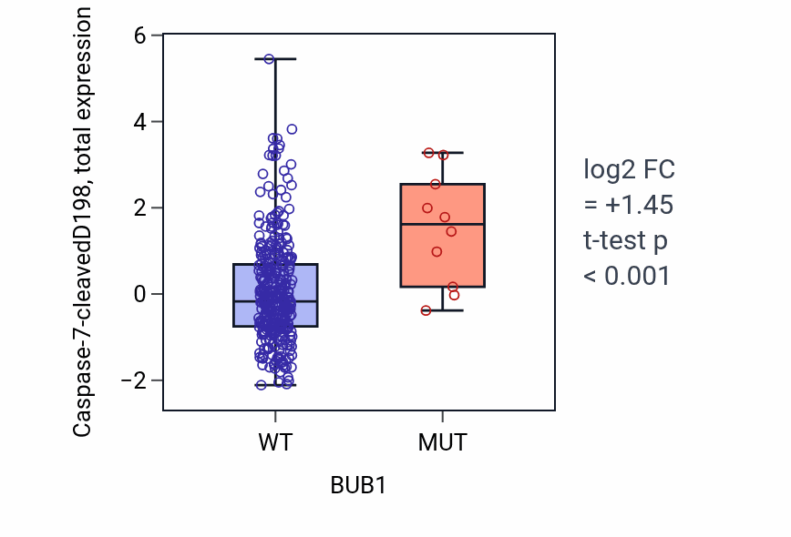 Box plot of Caspase-7-cleavedD198 in BUB1-low vs BUB1-high samples in COAD.