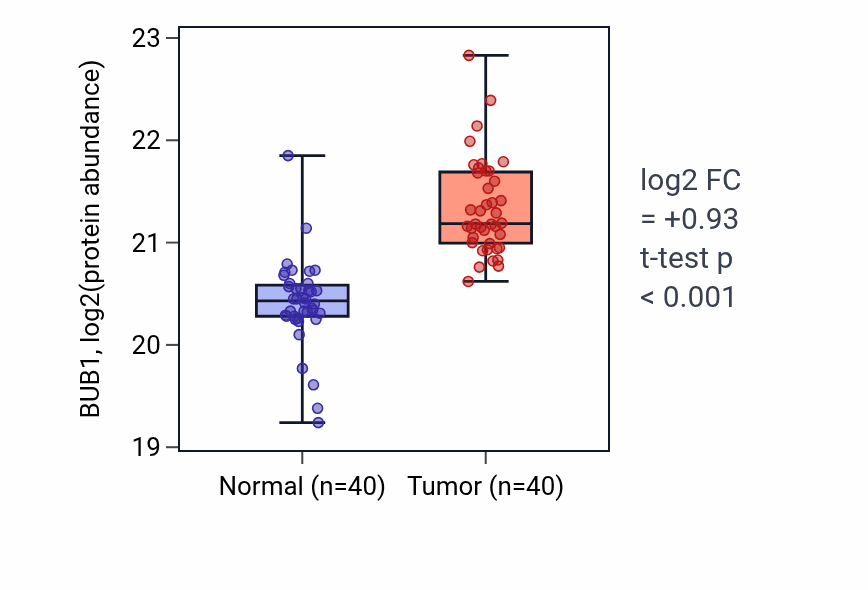 Tumor-vs-normal mass-spec protein box plot for BUB1 in LSCC.