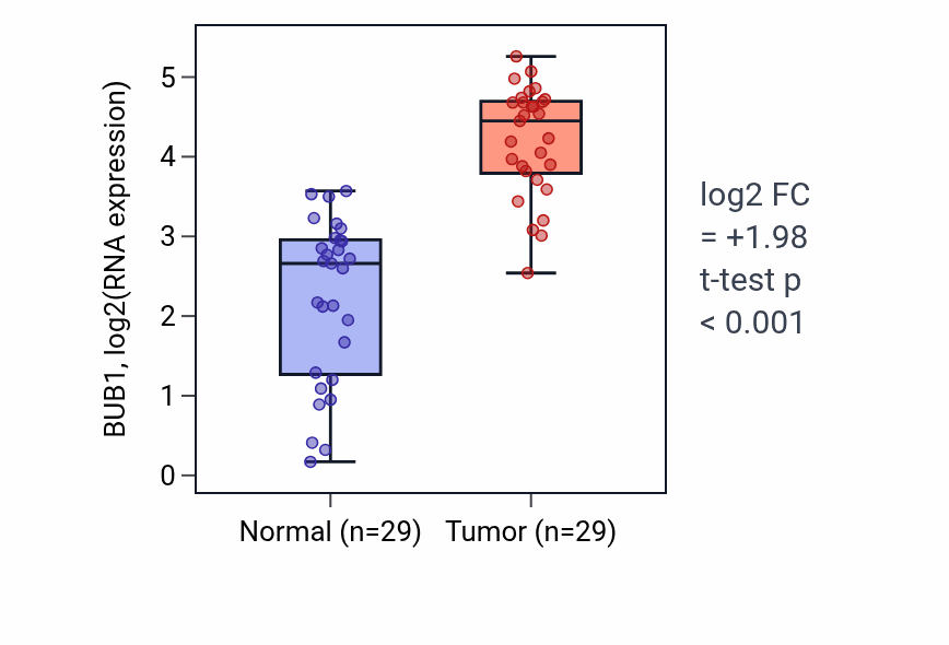 Tumor-vs-normal expression box plot for BUB1 RNA in HNSC.