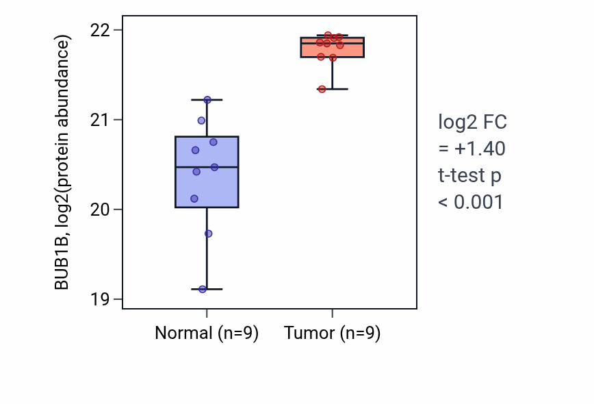 Tumor-vs-normal mass-spec protein box plot for BUB1B in LSCC.