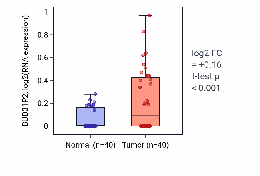 Tumor-vs-normal expression box plot for BUD31P2 in HNSC.