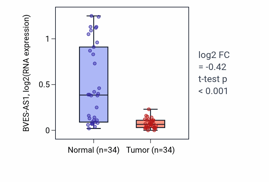 Tumor-vs-normal expression box plot for BVES-AS1 in KIRC.