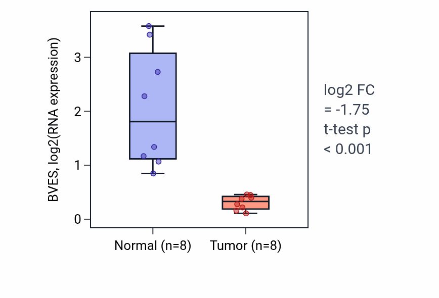 Tumor-vs-normal expression box plot for BVES in KICH.