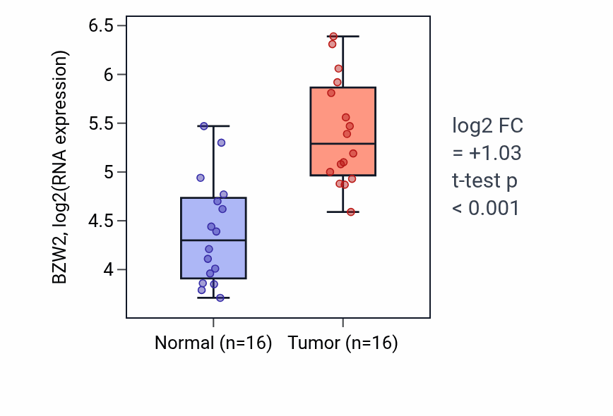 Tumor-vs-normal expression box plot for BZW2 in KIRP.