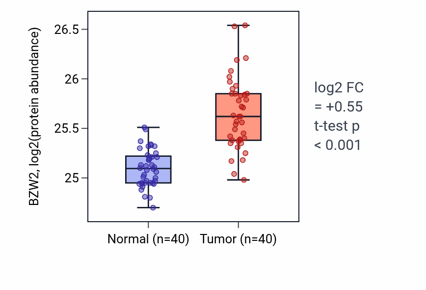 Tumor-vs-normal mass-spec protein box plot for BZW2 in COAD.