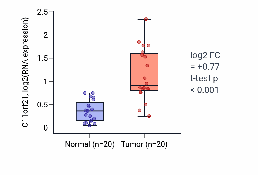 Tumor-vs-normal expression box plot for C11orf21 in KIRC.