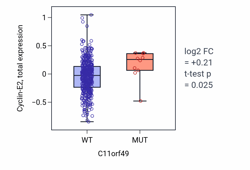 Box plot of Cyclin-E2 in C11orf49-low vs C11orf49-high samples in UCEC.