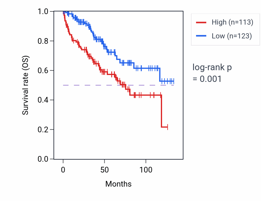 Kaplan&ndash;Meier survival curve for C16orf95 RNA expression in KIRC: high vs low expression groups.