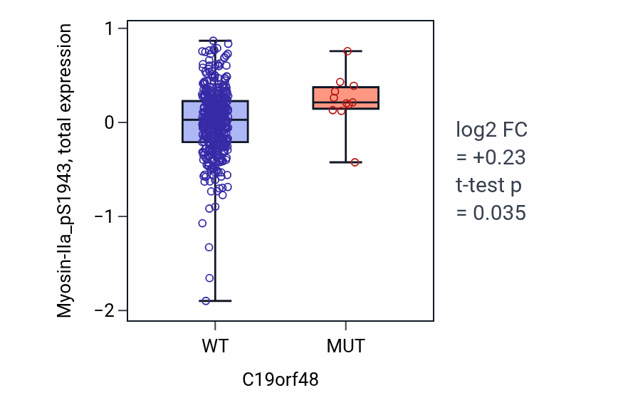 Box plot of Myosin-IIa_pS1943 in C19orf48-low vs C19orf48-high samples in UCEC.