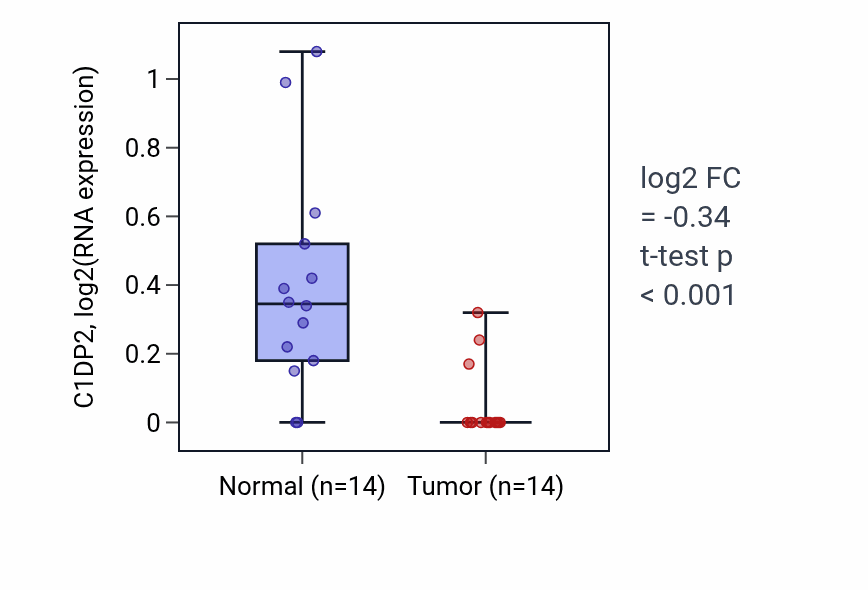 Tumor-vs-normal expression box plot for C1DP2 in LUSC.