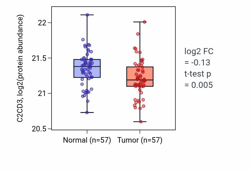 Tumor-vs-normal mass-spec protein box plot for C2CD3 in LSCC.