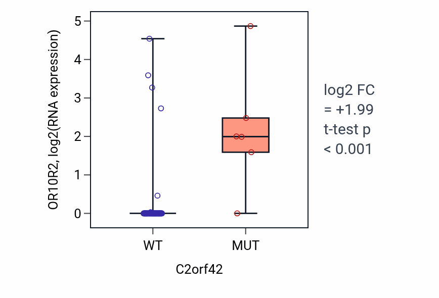Box plot of OR10R2 in C2orf42-low vs C2orf42-high samples in BLOOD_Leukemia.