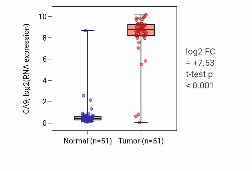 Tumor-vs-normal expression box plot for CA9 in KIRC.