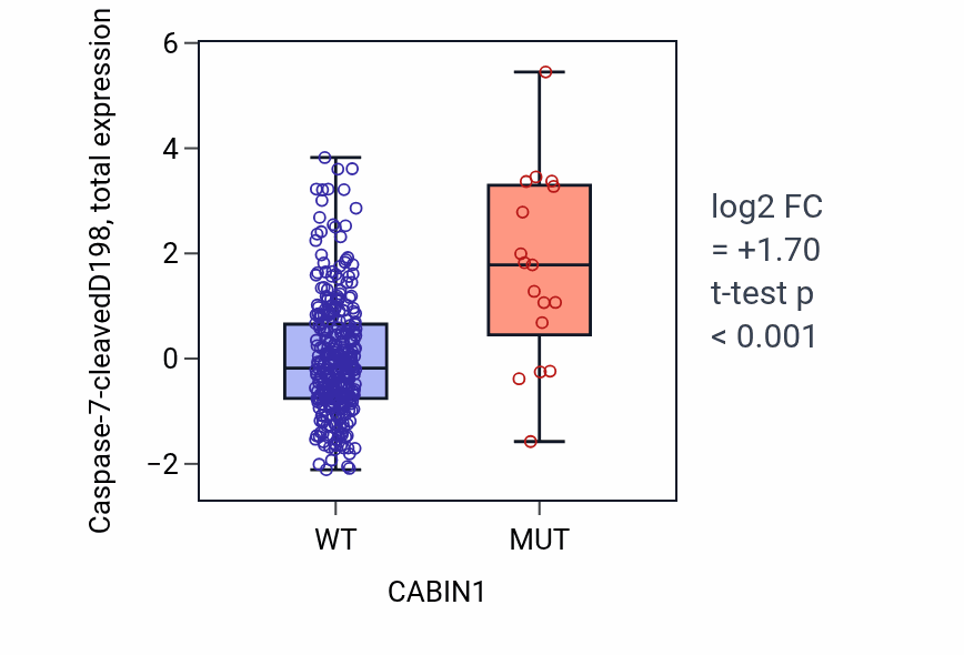 Box plot of Caspase-7-cleavedD198 in CABIN1-low vs CABIN1-high samples in COAD.