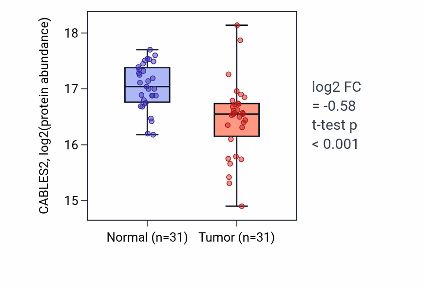Tumor-vs-normal mass-spec protein box plot for CABLES2 in LUAD.