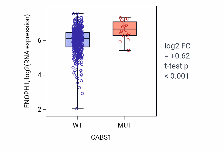 Box plot of ENOPH1 in CABS1-low vs CABS1-high samples in UCEC.