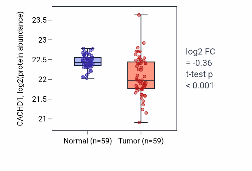 Tumor-vs-normal mass-spec protein box plot for CACHD1 in LSCC.