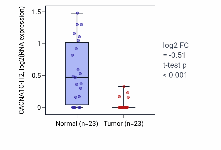 Tumor-vs-normal expression box plot for CACNA1C-IT2 in UCEC.