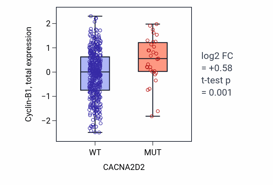 Box plot of Cyclin-B1 in CACNA2D2-low vs CACNA2D2-high samples in UCEC.