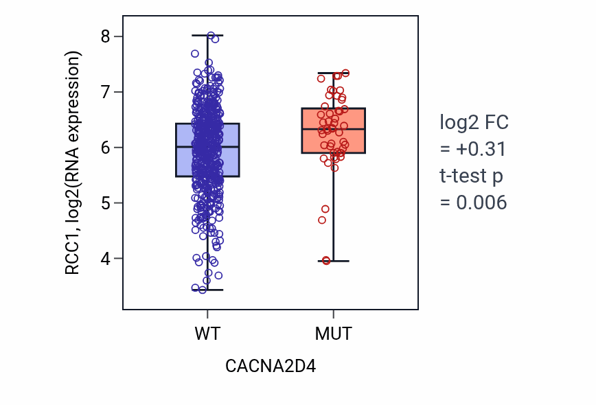 Box plot of RCC1 in CACNA2D4-low vs CACNA2D4-high samples in UCEC.
