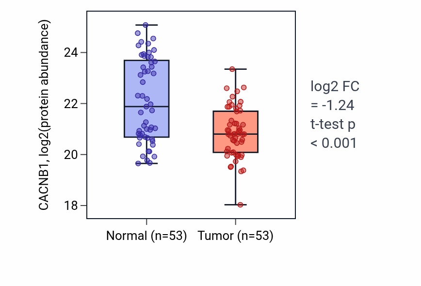 Tumor-vs-normal mass-spec protein box plot for CACNB1 in HNSC.