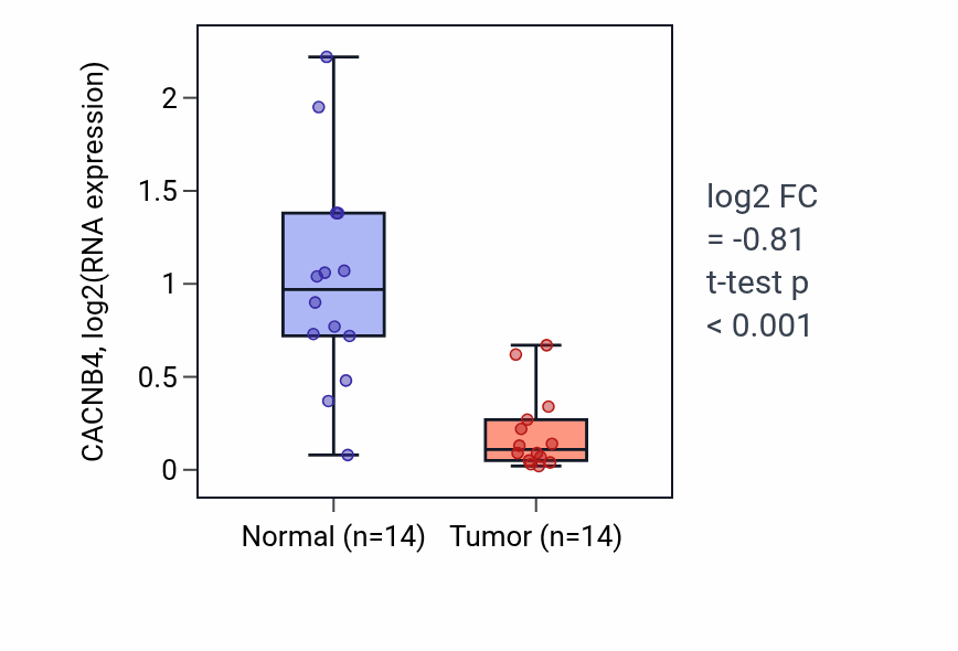 Tumor-vs-normal expression box plot for CACNB4 in HNSC.